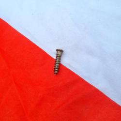 Vis pour Barrette de crosse / Passant de Bretelle Suisse Schmidt Rubin K31