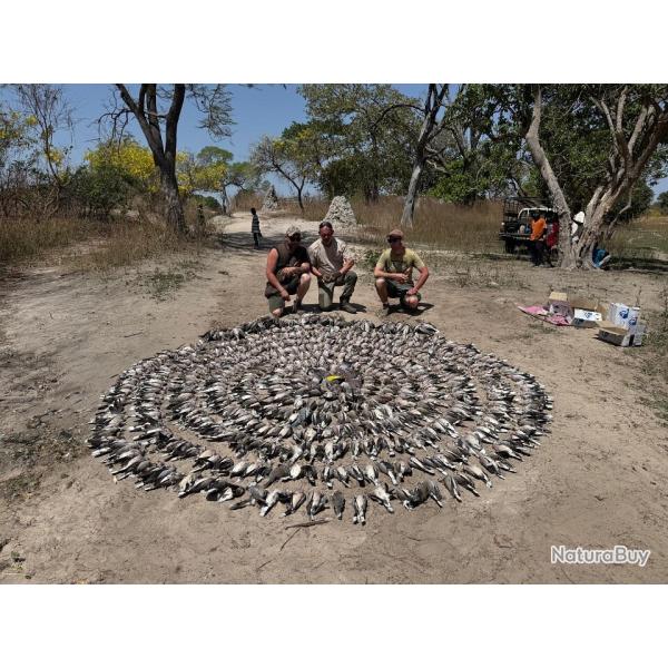 sjour chasse au SENEGAL