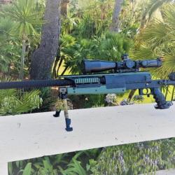 PGM 338 LM INTERVENTION