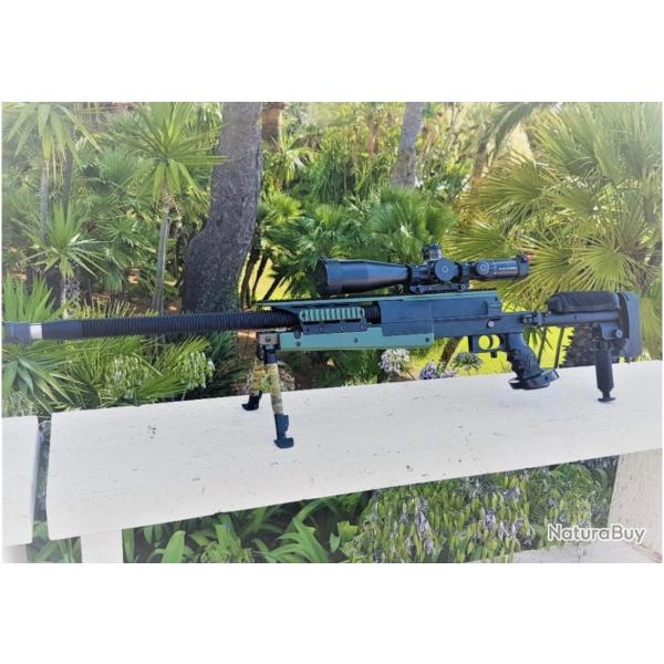 PGM 338 LM INTERVENTION