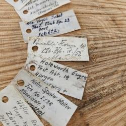 7x Plaque de Couche étiquette de soldat / Carte d'identité Suisse Schmidt Rubin K11 K31