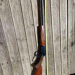 carabine a levier sous garde 22lr