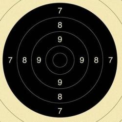 Centre de cible pistolet 25 mètres (C50) non numérotées GEF par 200