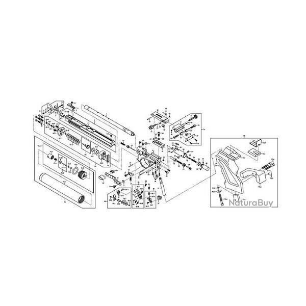 Entretien pistolet  plombs Pistolet  plombs Steyr LP2/LP10/EVO10