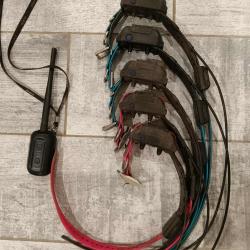 Dogtra pathfinder 5 collier et 1 central