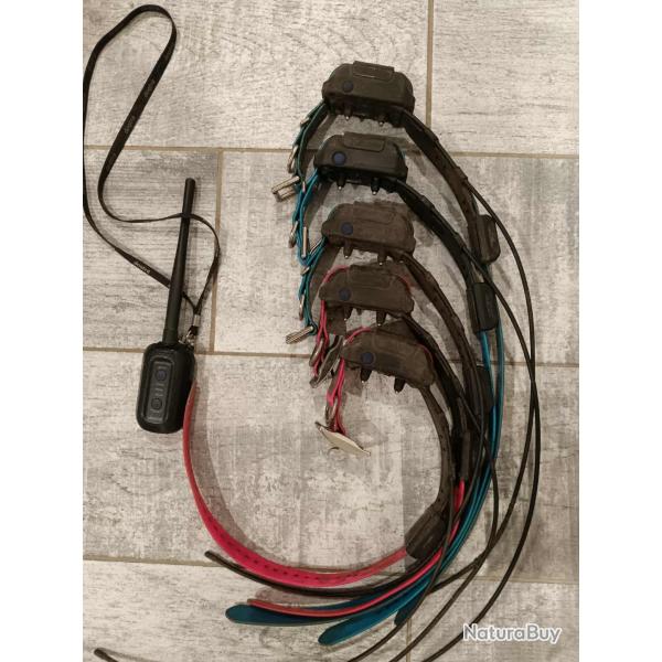 Dogtra pathfinder 5 collier et 1 central