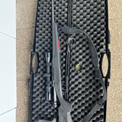 Carabine Axis Savage 30/06