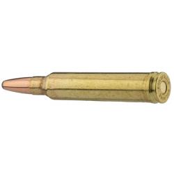 Sologne .300Win Mag type NOSLER PARTITION 220g