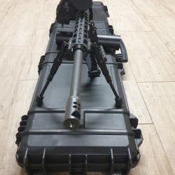 Ruger precision rifle  308w + reducteur de son et ça malette