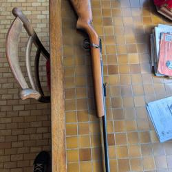 22 long rifle