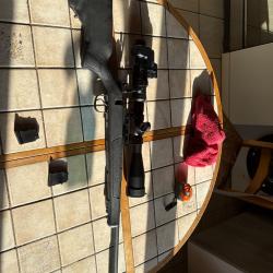 Carabine 22 long rifle
