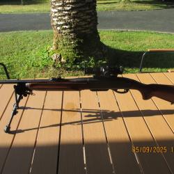 CARABINE REMINGTON 750WOODMASTER