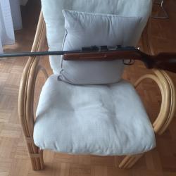 carabine 22 LR
