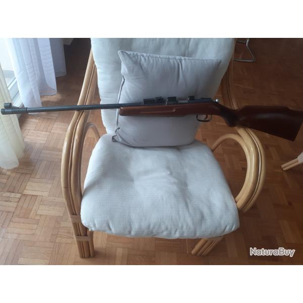 carabine 22 LR
