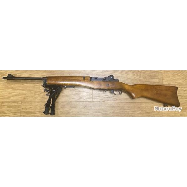 Ruger mini 14