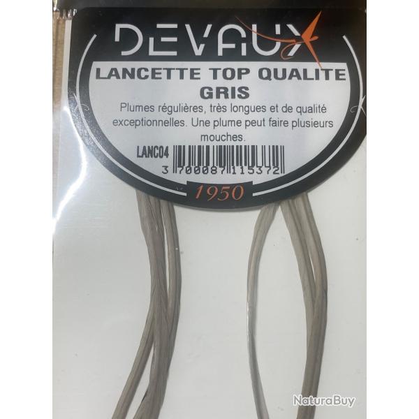 Lancettes de coq gris- Qualit gntique suprieure pour mouches sches