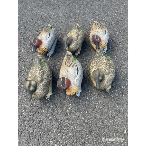 Lot de 6 sarcelles HD mousse