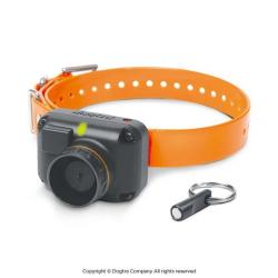 Collier de repérage sonore DOGTRA STB Beep L