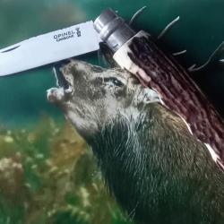 Couteau Opinel 10 bois de cerf+ boussole