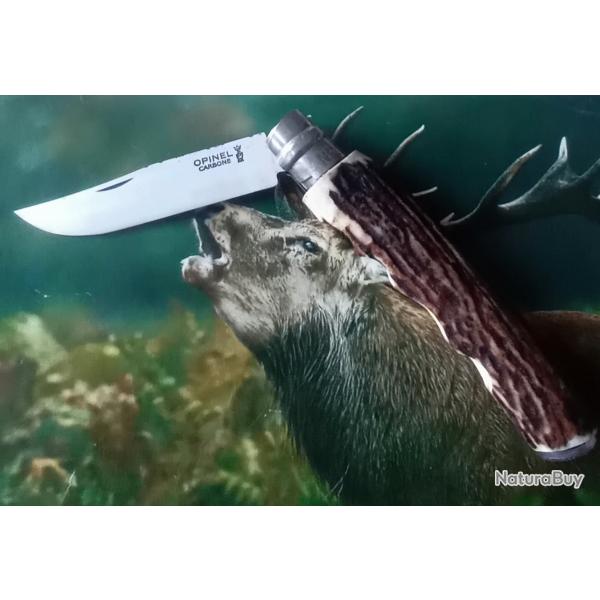 Couteau Opinel 10 bois de cerf+ boussole
