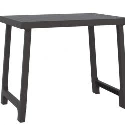 Table de camping anthracite 79x56x64 cm Polypropylène aspect bois pratique extérieur