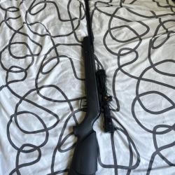 Carabine Gamo Big Cat Turbo 19,9 joules + lunette 4x32 wr