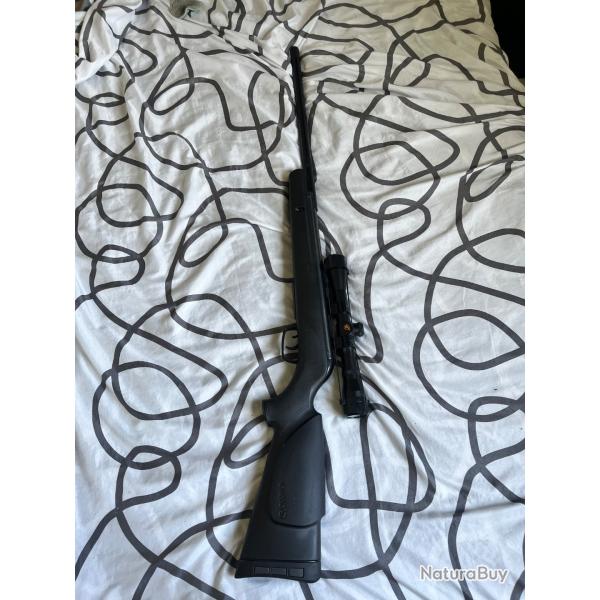 Carabine Gamo Big Cat Turbo 19,9 joules + lunette 4x32 wr