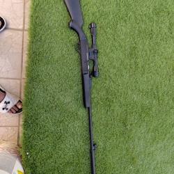 Carabine semi-automatique gevarm 22lr