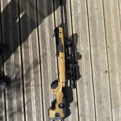 Superbe ensemble Tikka T1X MTR prêt TLD !