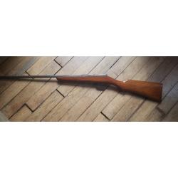 Carabine de jardin 9MM