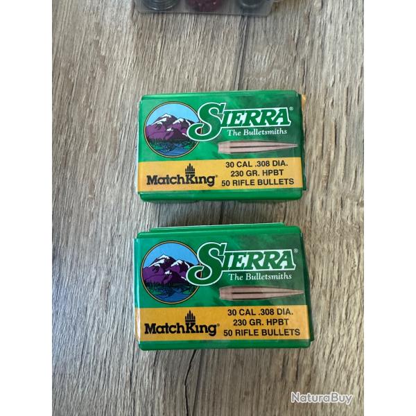 Ogive 308 230gr