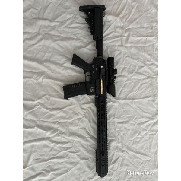 M4 CRY SALIENT ARMS