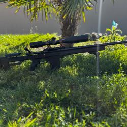 308 win 783 Remington equipé TLD