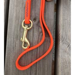 OFFRE NB Longe plate chien 10m pour faire le pied au sanglier LIVRAISON OFFERTE