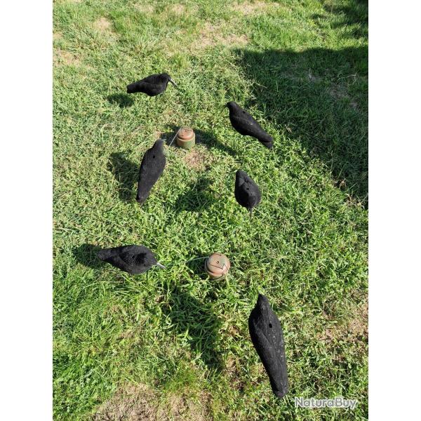 Lot leurres corvids