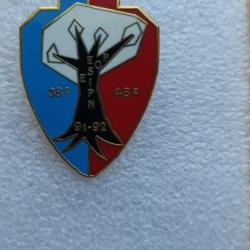 PINS ESIPN ESOP 91-92   ECOLE POLICE GENDARMERIE DOUANES MILITAIRE PROMO ANNEE 1991-1992