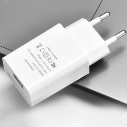 Chargeur pour collier GARMIN TT25 TT20 Adaptateur Secteur 5V pour USB - Adaptateurs d'alimentation