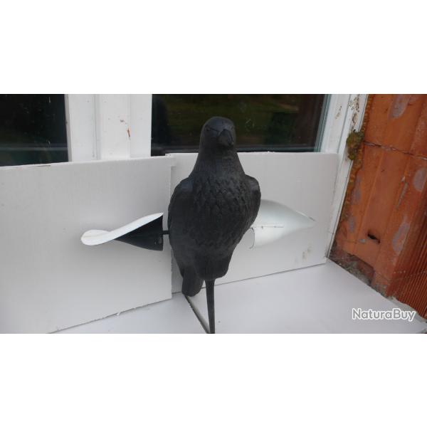 Corbeau a ailes tournantes