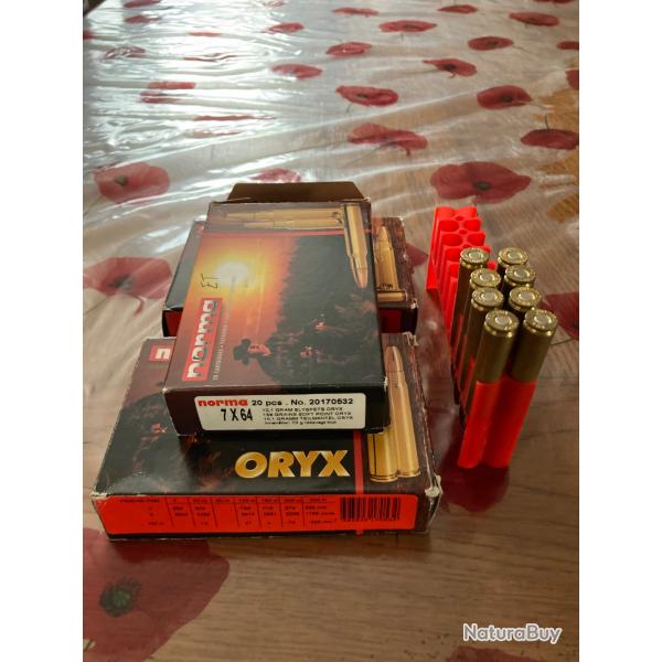 Norma oryx