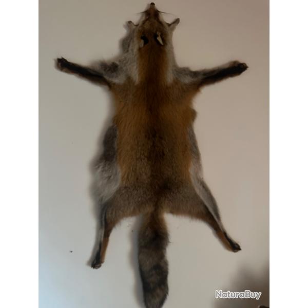 peau de renard