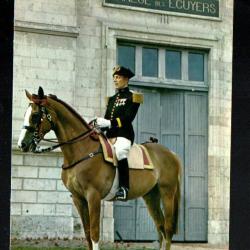 saumur officier du cadre noir  cpm