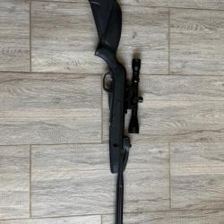 carabine à plomb Gamo Black X10 et lunette 3-9*40 WR - cal. 4.5