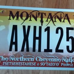 PLAQUE D' IMMATRICULATION D' ORIGINE DES CHEYENNES DU NORD DU MONTANA
