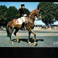 saumur cavalier du cadre noir cpm