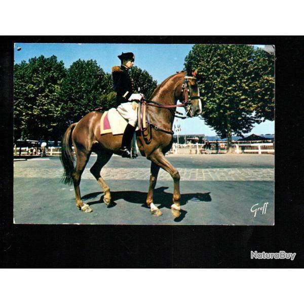 saumur cavalier du cadre noir cpm