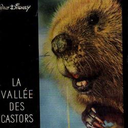 La vallée des castors. walt disney grand format (et autres animaux)