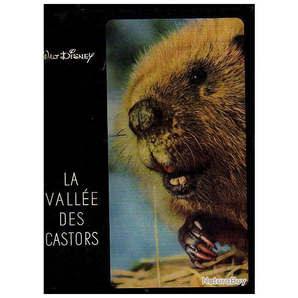 La valle des castors. walt disney grand format (et autres animaux)