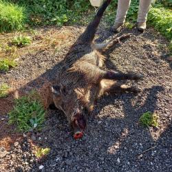 Recherche chasseurs