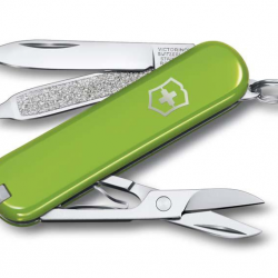 Victorinox 0.6223.43.B1 Classic Smashed - couleur avocat