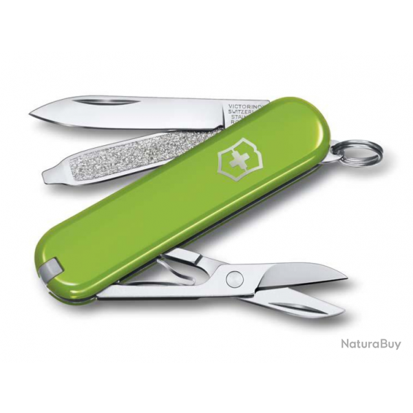 Victorinox 0.6223.43.B1 Classic Smashed - couleur avocat